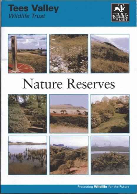 nature-reserves-tees-valley-wildlife-trust